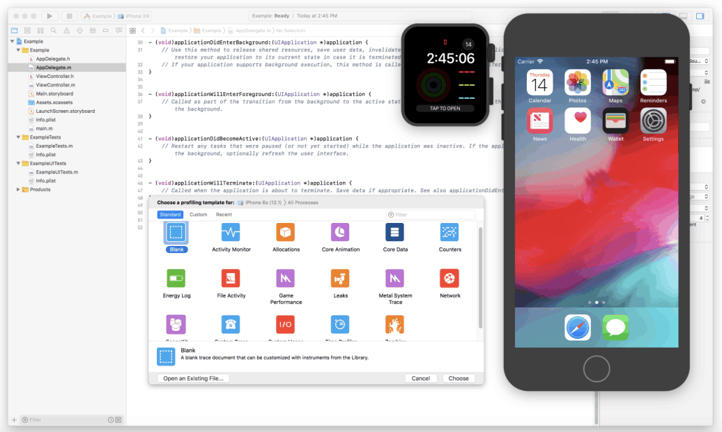 Xcode Screenshot